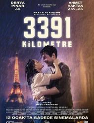 3391 Kilometr